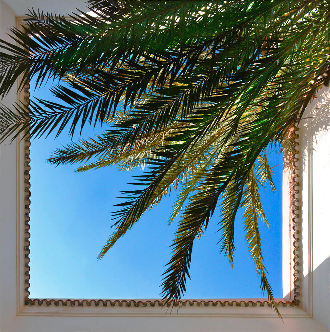 palmier ciel bleu riad Dar Housnia